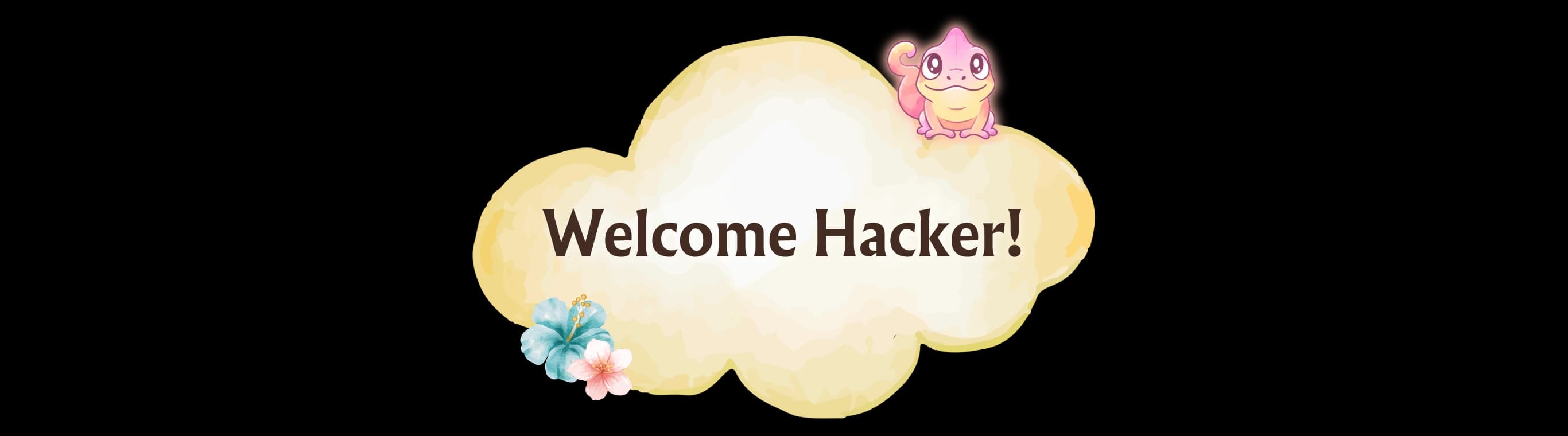 Welcome Hacker!